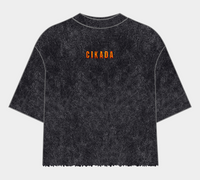 Color: StoneBlack